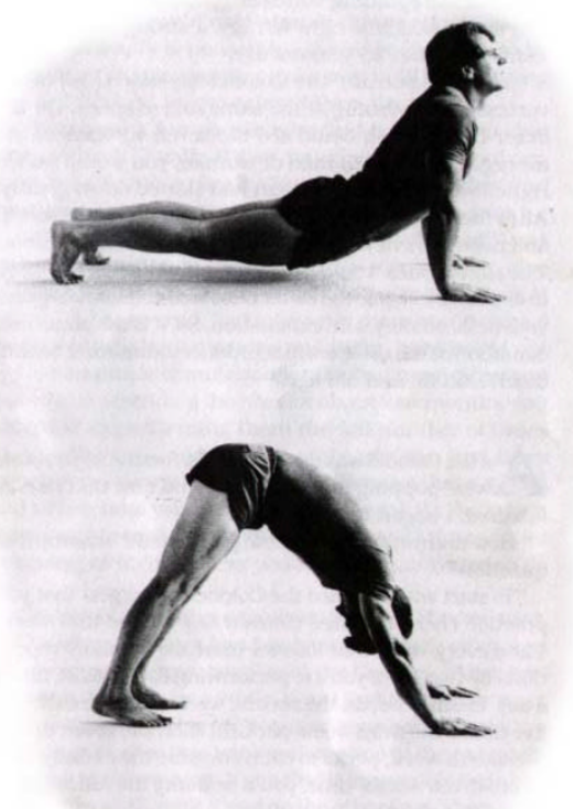 Rite 5 — sagging and inverted-V positions